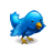 Siguenos en Twitter